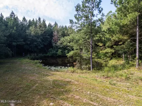 4069 Dixie Garden Rd, Wesson, MS 39191 photo 3