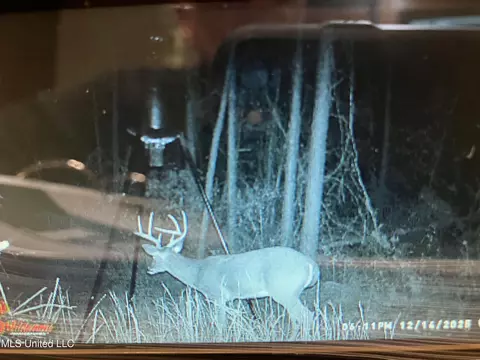 4069 Dixie Garden Rd, Wesson, MS 39191 photo 48