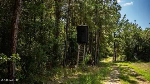 4069 Dixie Garden Rd, Wesson, MS 39191 photo 21
