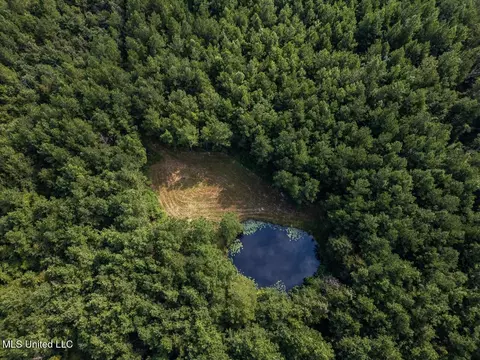 4069 Dixie Garden Rd, Wesson, MS 39191 photo 4