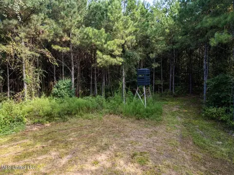 4069 Dixie Garden Rd, Wesson, MS 39191 photo 2