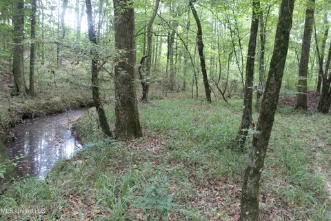 NE Hopewell Road, Brookhaven, MS 39601