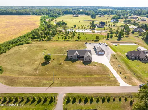View/Area - 1778 Sunset Farms Dr, Hernando, MS 38632 photo 4 of 8