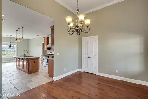 Other - 1778 Sunset Farms Dr, Hernando, MS 38632 photo 3 of 19