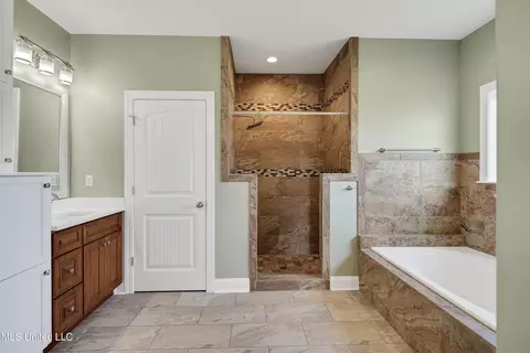 Bath - 1778 Sunset Farms Dr, Hernando, MS 38632 photo 1 of 8