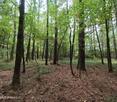 Other - 2430 Highway 501, Forest, MS 39074 photo 33 of 59