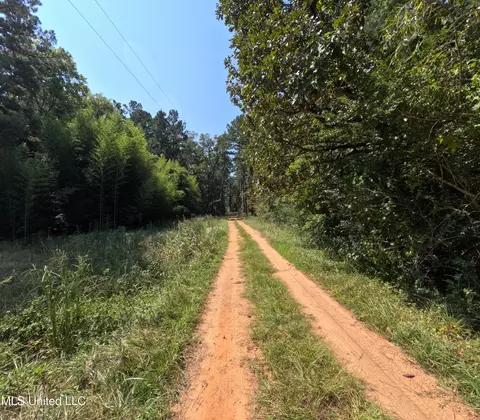 Other - 2430 Highway 501, Forest, MS 39074 photo 16 of 59