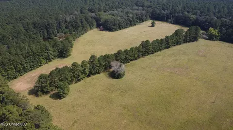 Other - 2430 Highway 501, Forest, MS 39074 photo 4 of 59