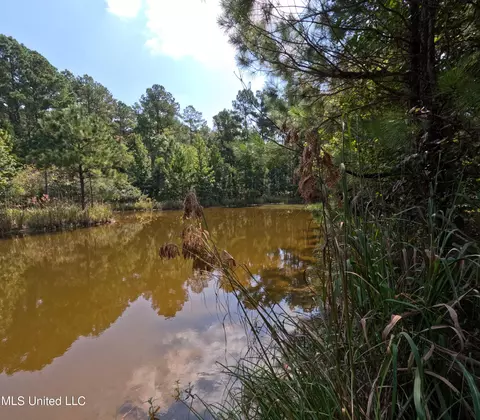 View/Area - 2430 Highway 501, Forest, MS 39074 photo 9 of 11