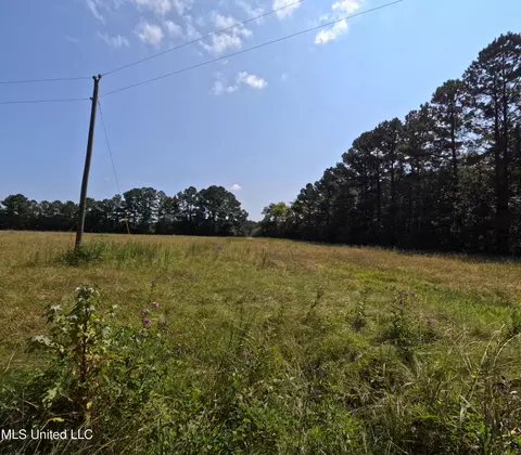 Other - 2430 Highway 501, Forest, MS 39074 photo 15 of 59