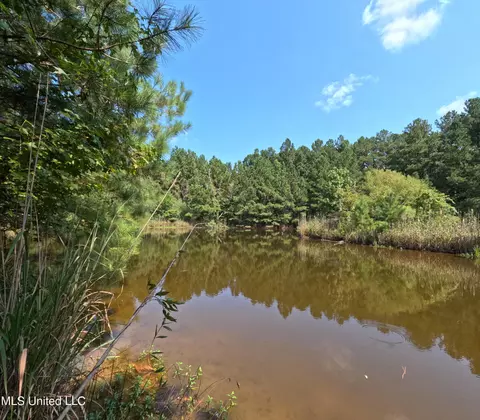 View/Area - 2430 Highway 501, Forest, MS 39074 photo 8 of 11