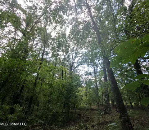 Other - 2430 Highway 501, Forest, MS 39074 photo 41 of 59