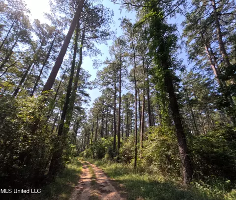 Other - 2430 Highway 501, Forest, MS 39074 photo 17 of 59