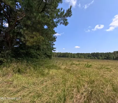Other - 2430 Highway 501, Forest, MS 39074 photo 21 of 59