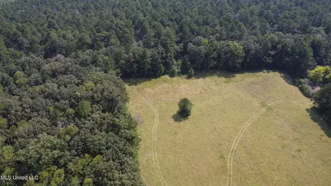 Other - 2430 Highway 501, Forest, MS 39074 photo 8 of 59