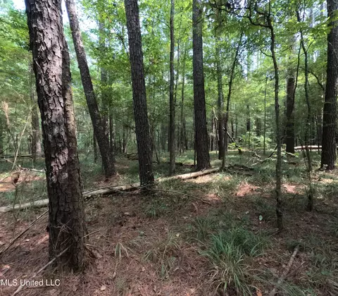 Other - 2430 Highway 501, Forest, MS 39074 photo 30 of 59