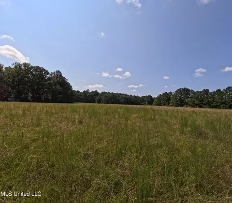 Other - 2430 Highway 501, Forest, MS 39074 photo 23 of 59