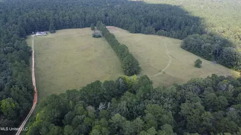 Other - 2430 Highway 501, Forest, MS 39074 photo 12 of 59