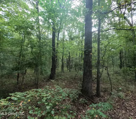 Other - 2430 Highway 501, Forest, MS 39074 photo 40 of 59