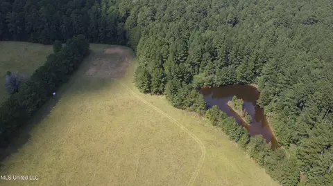 View/Area - 2430 Highway 501, Forest, MS 39074 photo 2 of 11