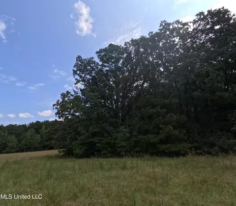 Other - 2430 Highway 501, Forest, MS 39074 photo 37 of 59