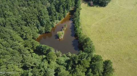 View/Area - 2430 Highway 501, Forest, MS 39074 photo 1 of 11