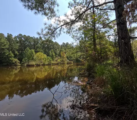 View/Area - 2430 Highway 501, Forest, MS 39074 photo 6 of 11