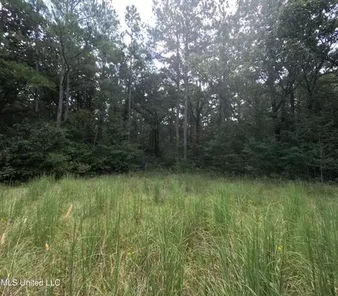 Other - 2430 Highway 501, Forest, MS 39074 photo 43 of 59