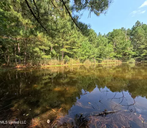 View/Area - 2430 Highway 501, Forest, MS 39074 photo 4 of 11
