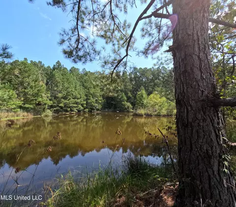 View/Area - 2430 Highway 501, Forest, MS 39074 photo 3 of 11
