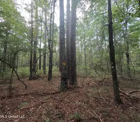 Other - 2430 Highway 501, Forest, MS 39074 photo 48 of 59