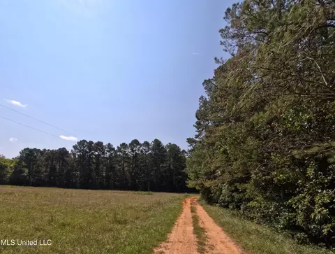 Other - 2430 Highway 501, Forest, MS 39074 photo 14 of 59
