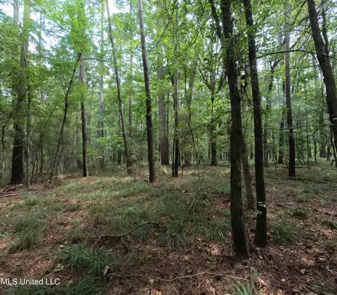 Other - 2430 Highway 501, Forest, MS 39074 photo 32 of 59