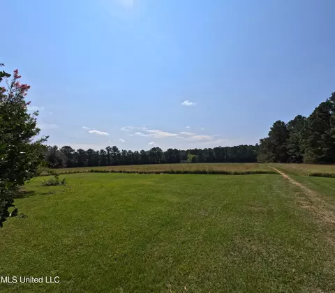 Exterior - 2430 Highway 501, Forest, MS 39074 photo 2 of 18