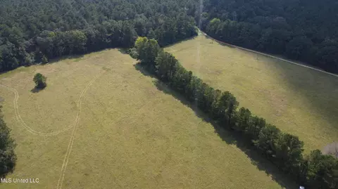 Other - 2430 Highway 501, Forest, MS 39074 photo 7 of 59