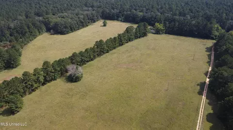 Other - 2430 Highway 501, Forest, MS 39074 photo 5 of 59