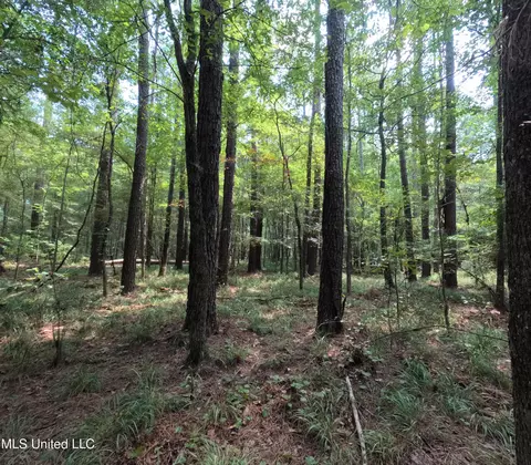 Other - 2430 Highway 501, Forest, MS 39074 photo 29 of 59