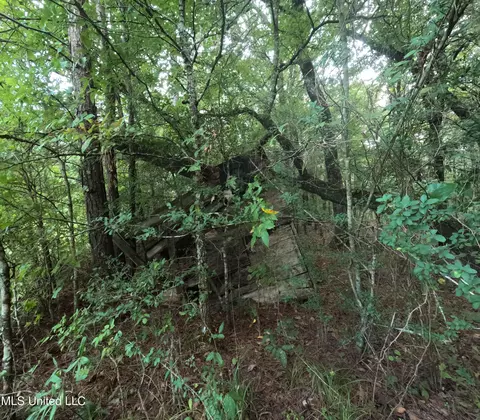 Other - 2430 Highway 501, Forest, MS 39074 photo 45 of 59