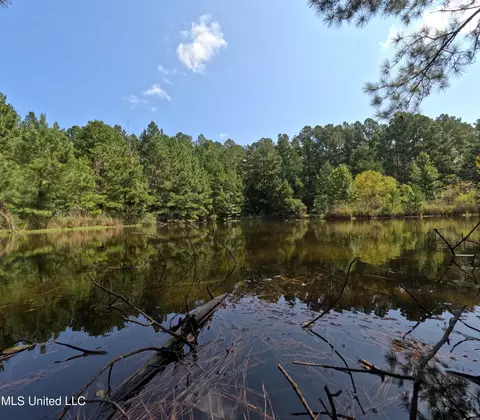 View/Area - 2430 Highway 501, Forest, MS 39074 photo 5 of 11
