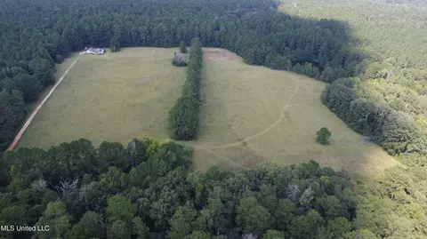 Other - 2430 Highway 501, Forest, MS 39074 photo 11 of 59