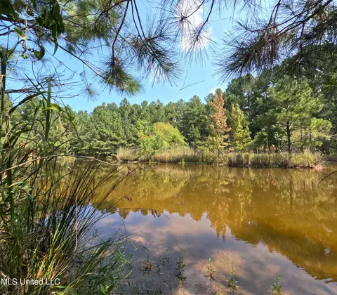 View/Area - 2430 Highway 501, Forest, MS 39074 photo 10 of 11