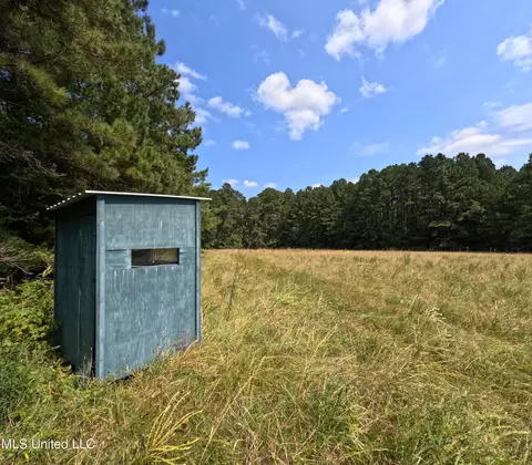 Other - 2430 Highway 501, Forest, MS 39074 photo 35 of 59