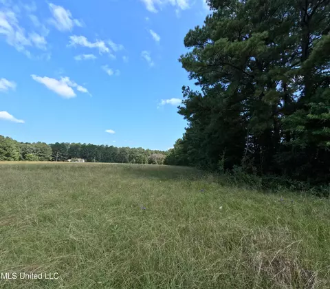 Other - 2430 Highway 501, Forest, MS 39074 photo 20 of 59