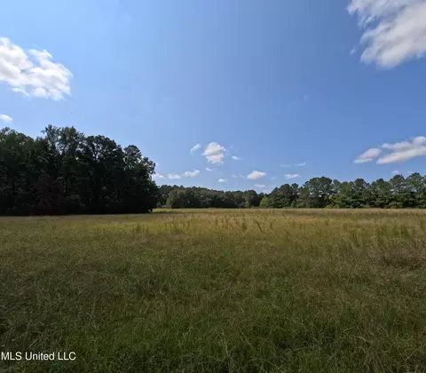 Other - 2430 Highway 501, Forest, MS 39074 photo 25 of 59