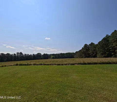 Other - 2430 Highway 501, Forest, MS 39074 photo 13 of 59