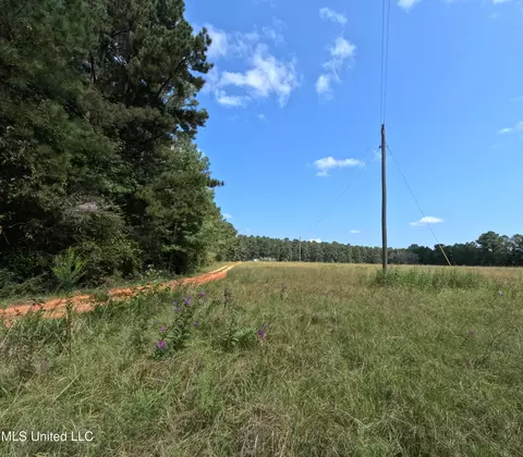 Other - 2430 Highway 501, Forest, MS 39074 photo 18 of 59