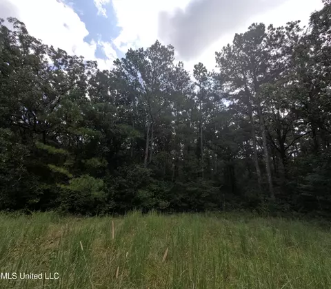 Other - 2430 Highway 501, Forest, MS 39074 photo 44 of 59