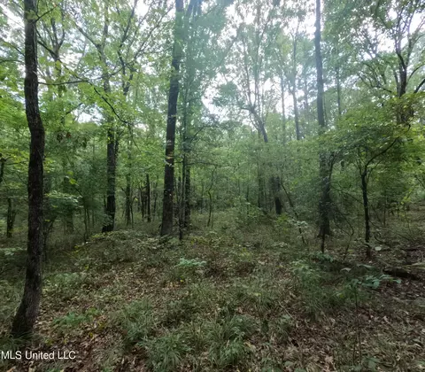Exterior - 2430 Highway 501, Forest, MS 39074 photo 6 of 18