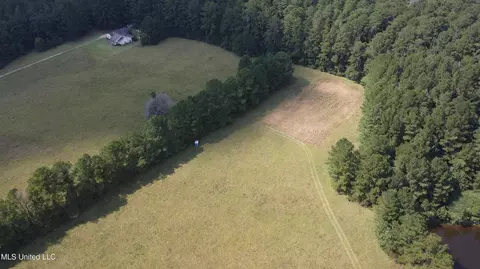 Other - 2430 Highway 501, Forest, MS 39074 photo 9 of 59