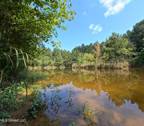 View/Area - 2430 Highway 501, Forest, MS 39074 photo 11 of 11